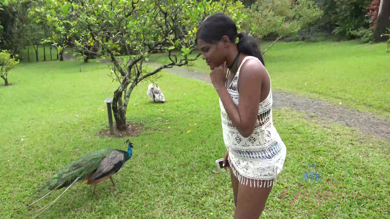 ATK Fans (Girlfriends): Virtual vacation in Hawaii with Yara Skye 7/11