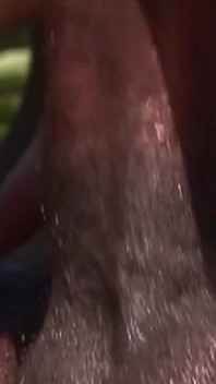 Memek sempit cewek hot rambut cokelat ini dientot habis-habisan sama kontol besar pria kulit hitam di pinggir kolam renang