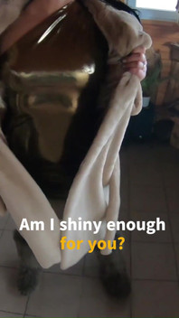 Am I Shiny Enough for You?