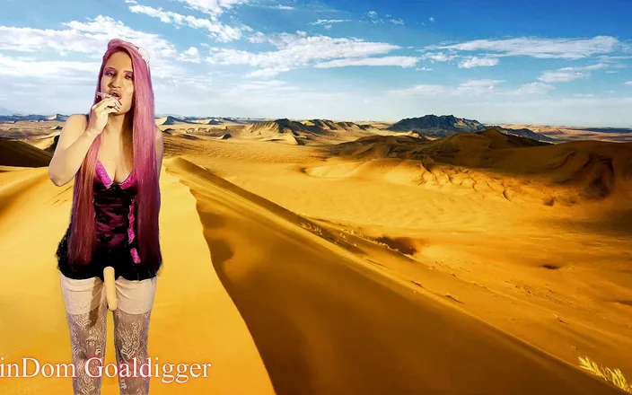 FinDom Goaldigger: Dobře trénovaná sissy děvka - část 3
