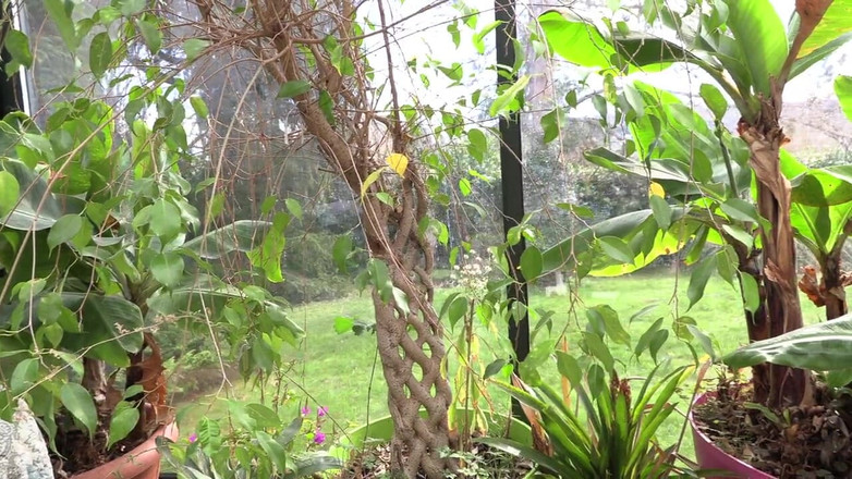 HPG Production: Si comel Perancis dikongkek keras di halaman 6666 3