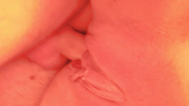 Wild Life PA: Podívejte se na pěkné odpoledne s mojí polskou manželkou