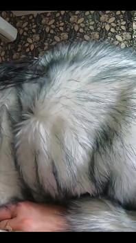 Face Fuck,cum Play While Wearing a Hot Grey Fur-coat and Long Boots 214