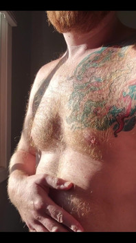 The Morning Sunlight