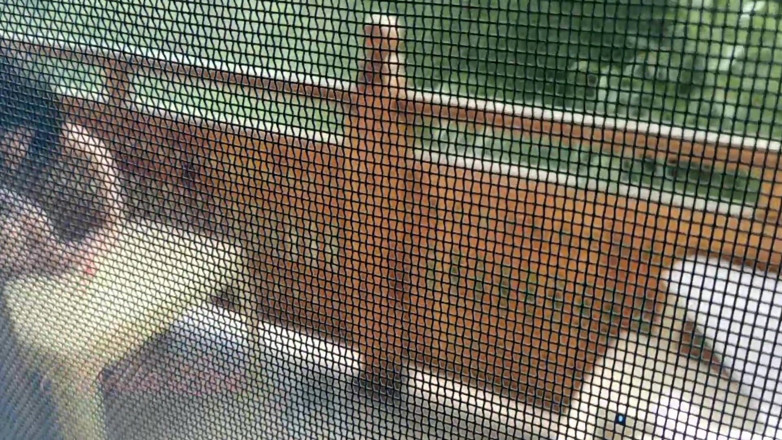 Abella Love: Il mio fratellastro guarda come faccio la manicure sul balcone...