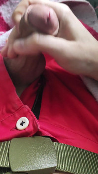 A Normal Male Penis
