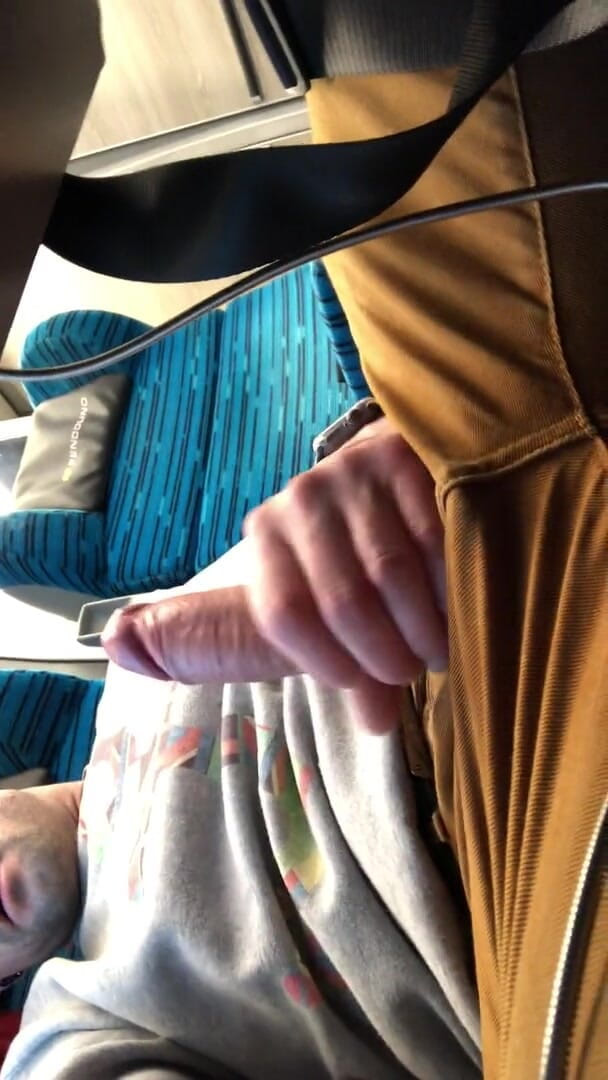 Davids secret: Train advanture