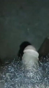 흑인 대물 자지 마사지 자위하는 남성 연기자 POV 클로즈업 비디오