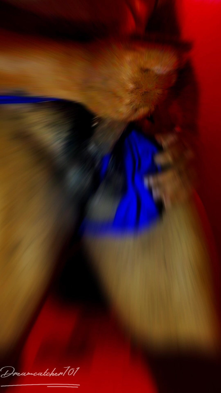 Dreamcatcher701: インドのベンガルSlu_tボーイフレンドはあなたの猫をドリルする準備ができています