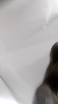 Big Black Dick