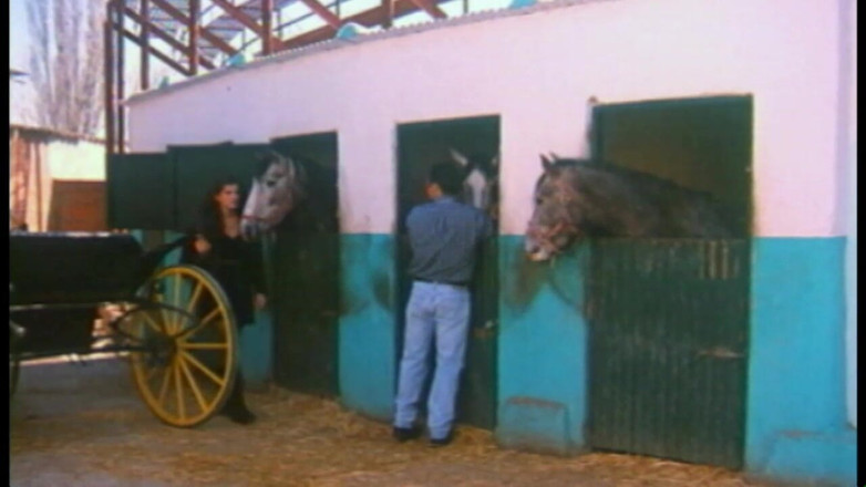 MMV Films and Clips XXX: Cikánská královna