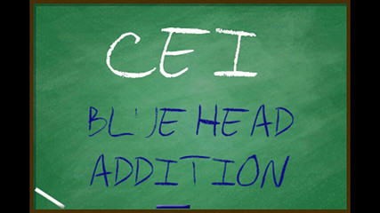 Campsissyboi: AUDIO ONLY - penambahan kepala CEI blue