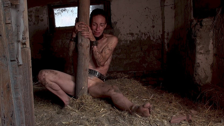 Steel and Pain Studio: Farm Orgasm