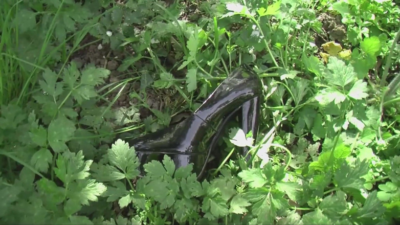 German Porn: Alemana grandota - garganta profunda al aire libre