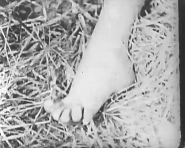 GERMAN PORN CLASSICS: daadaaji ka baksa