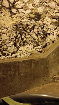 सार्वजनिक रूप से वीर्य निगलना