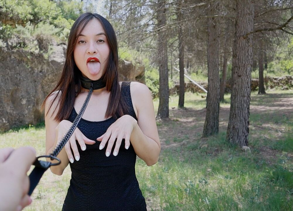 Faphouse