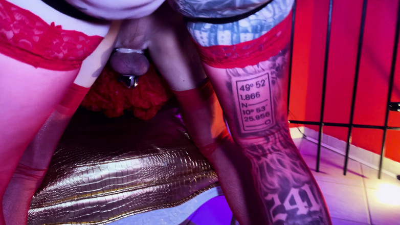 MissAlessaMilano: Femdom chce zjistit, jestli Sissy zvládne 3 strapony