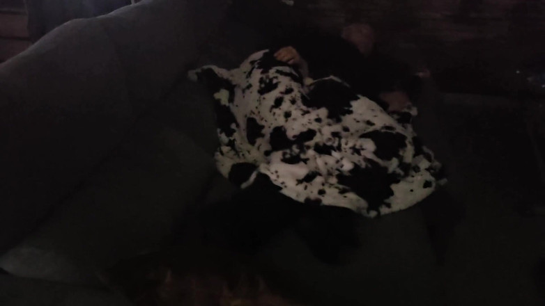 Sofy13: Я Хотела Вздремнуть, Он Хотел Трахнуть Мою Киску И Задницу