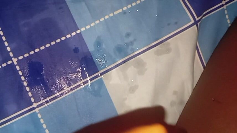 Badman4606: Найбільший африканський чорний огірок