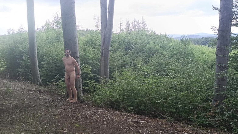 kickerscooter: Between the Beeches: Rough Exhibition on Bare Wood