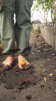 Squashing Tomato desculță în murdăria Asmr