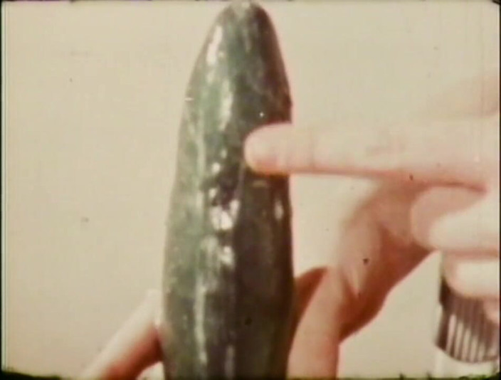 Vintage Usa: Sweet young vintage girl take a big cock