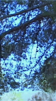 Karla Sanchez and Jorge, Pissing Together in the Forest