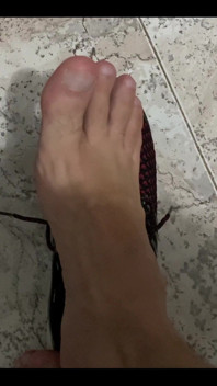 Pies Pies Pies