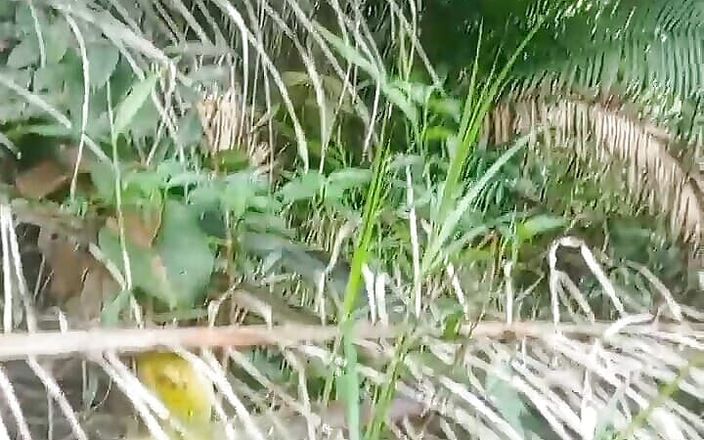 AdmHell: Il mio giardino ha molto sperma versato qui