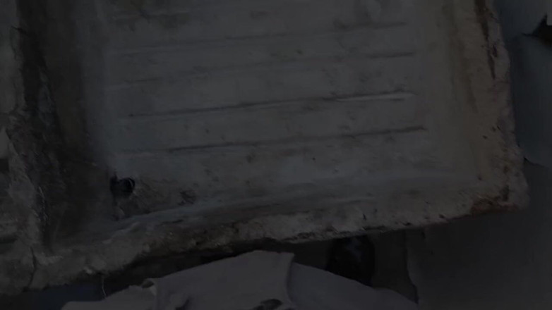 WolfGV: O dimineață fără ejaculare