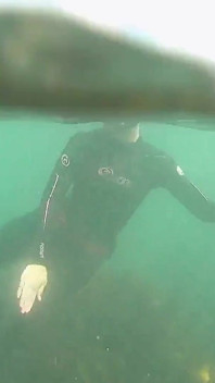 Ragazza libera in acqua aperta con pinne ultra lunghe, mutando e attrezzatura per snorkeling