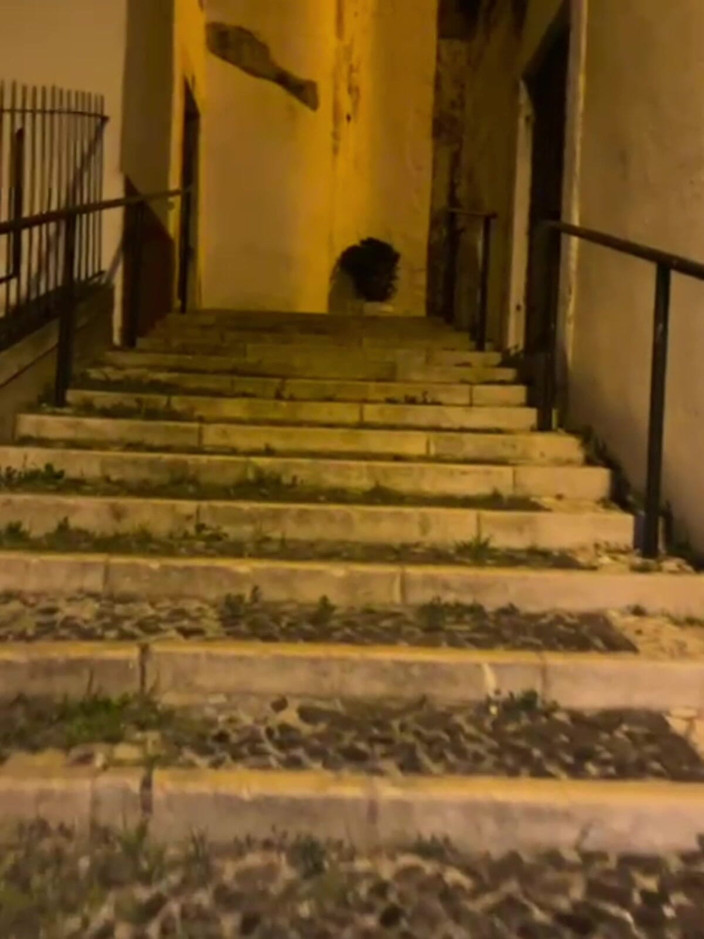 AmateurBoysPissing: Recopilación De Chicos Amateurs Meando En La Calle