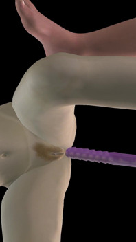 Geanimeerde 3D-porno - mooi meisje voorbinddildo neukt Aziatische man en dan dubbele dildo op zijn hondjes