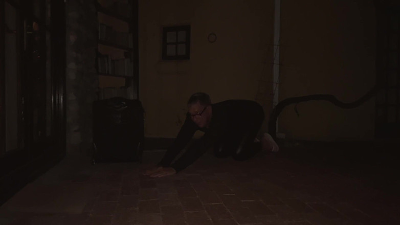 Mistress April: Cușcă - cronicile unei vieți la picioarele ei