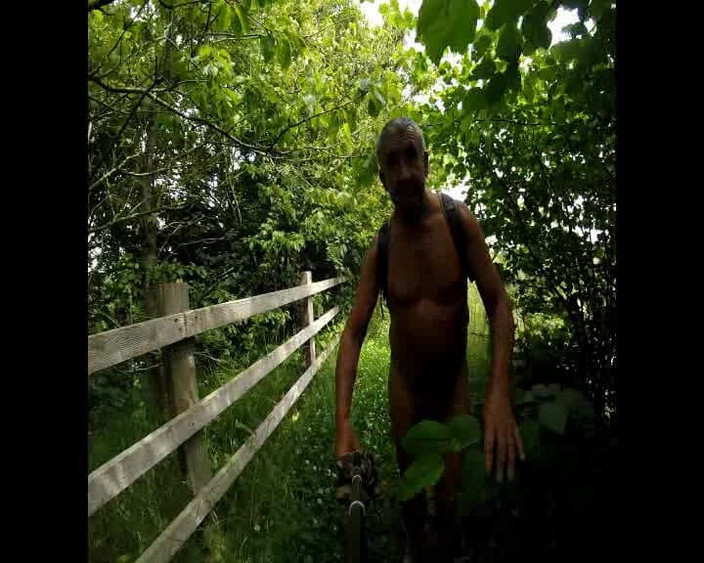 Andy: Passeggiata in campagna