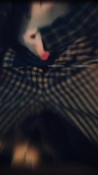 A Video Collection From All of March. Jerking off, Anal Touching, and Beautiful Professional Filming