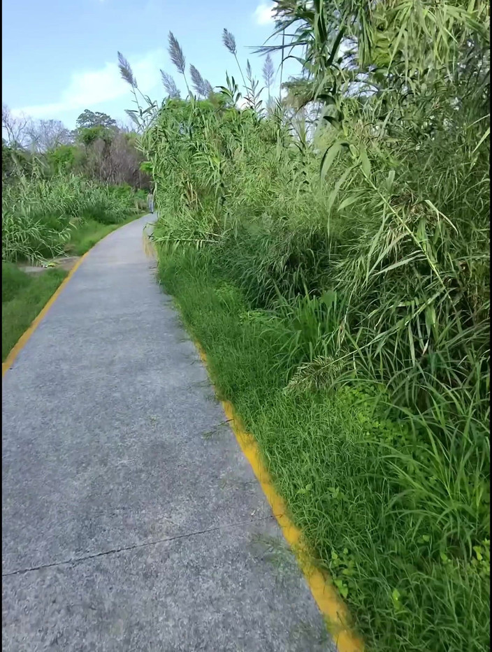 joanraay: Mencari Cruising di Jalan