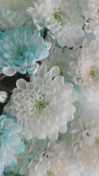 Boeket bloemen