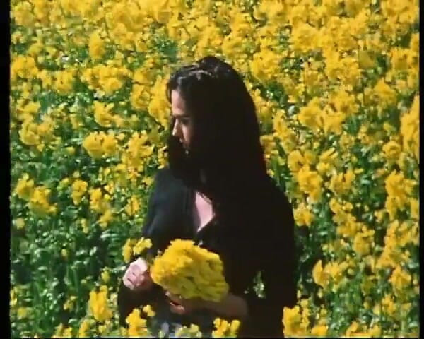 GERMAN PORN CLASSICS: สาวของนายเอส - คลาสสิกยาวๆ