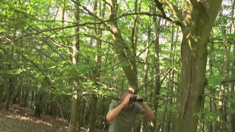 DEUTSCHLAN PORNO XXX: Wild Outdoor DP Fuck in the Woods