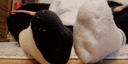 Nicoletta Embassi: Meias excessivamente suadas depois de uma grande sessão na academia...