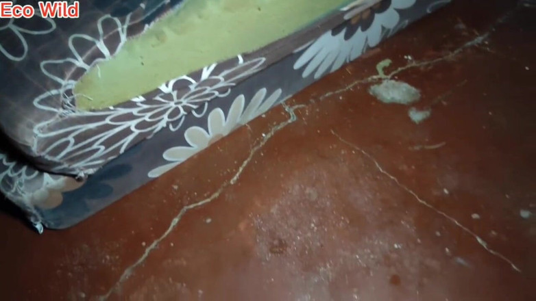 Eco Wild: Lízal jsem a šukal kundičku sousedky, dokud nebyla mokrá, než jsem...