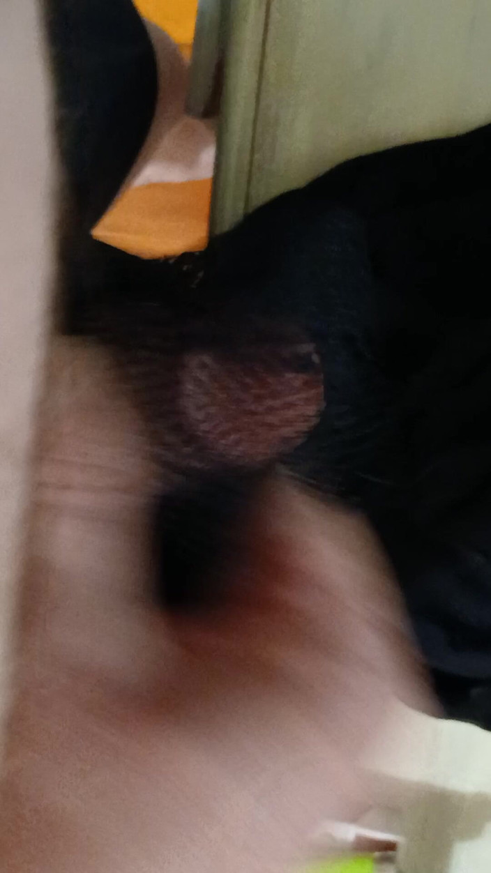 Speedy76: 그냥 나와 마누라 팬티