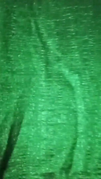 Indio gay crossdresser Gaurisissy presionando sus tetas tan duro y disfrutando en sari verde