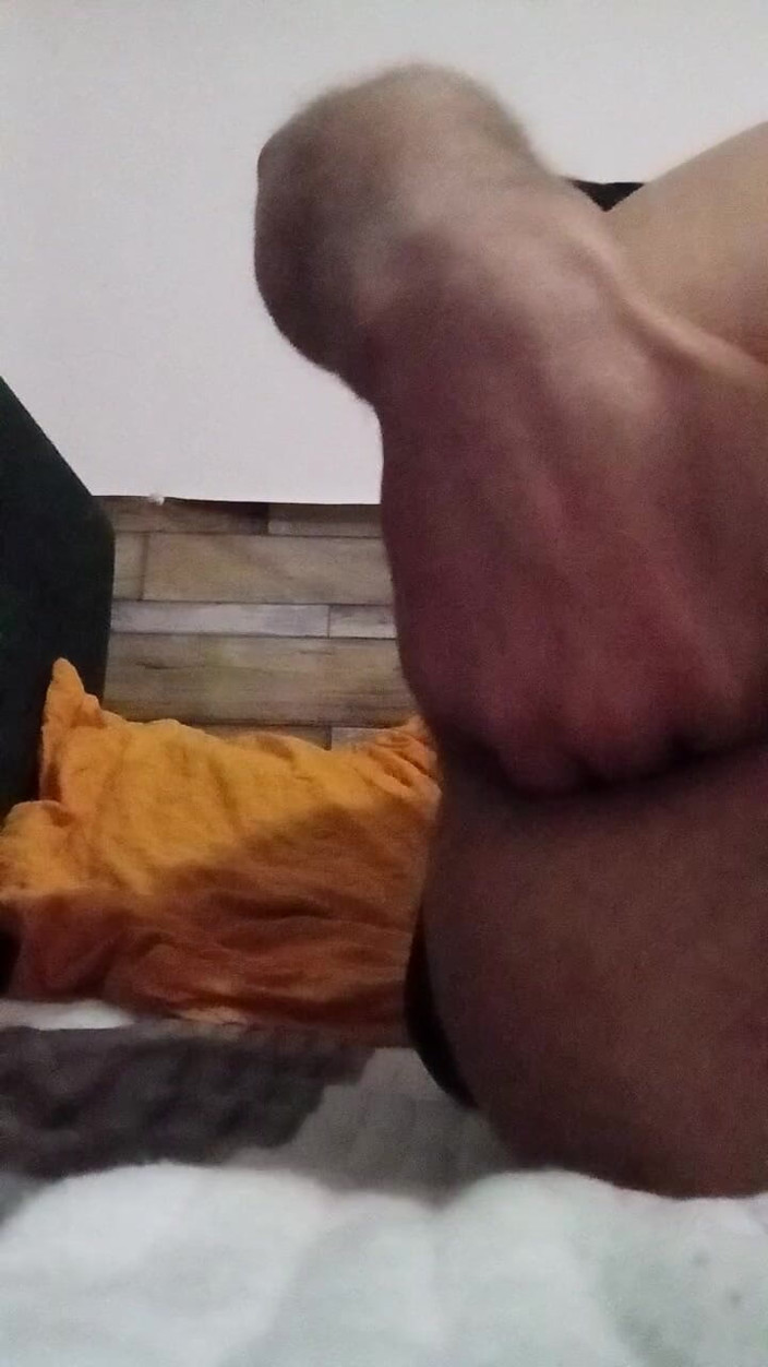 Haus86: गधा