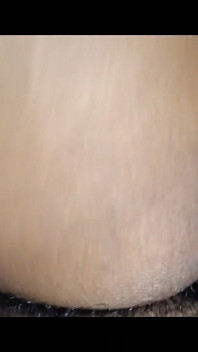 Desi Indian Bhabhi Viral Video House Sex
