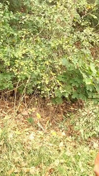 Stranger's Cock Blown in Case of Car Breakdown