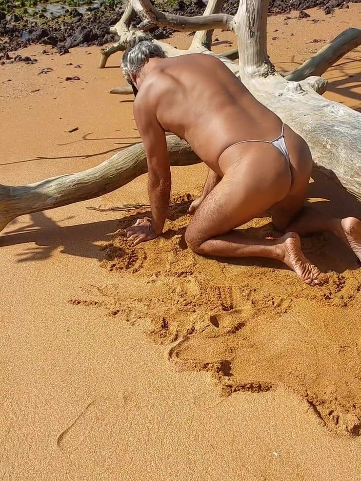 Ladysilvas: Ladysilva Min stora röv på stranden