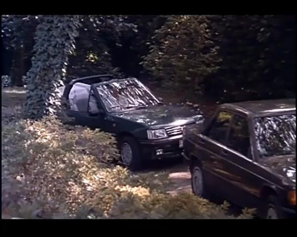 GERMAN PORN CLASSICS: プライベートな恋愛